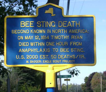 Bee Sting Death marker